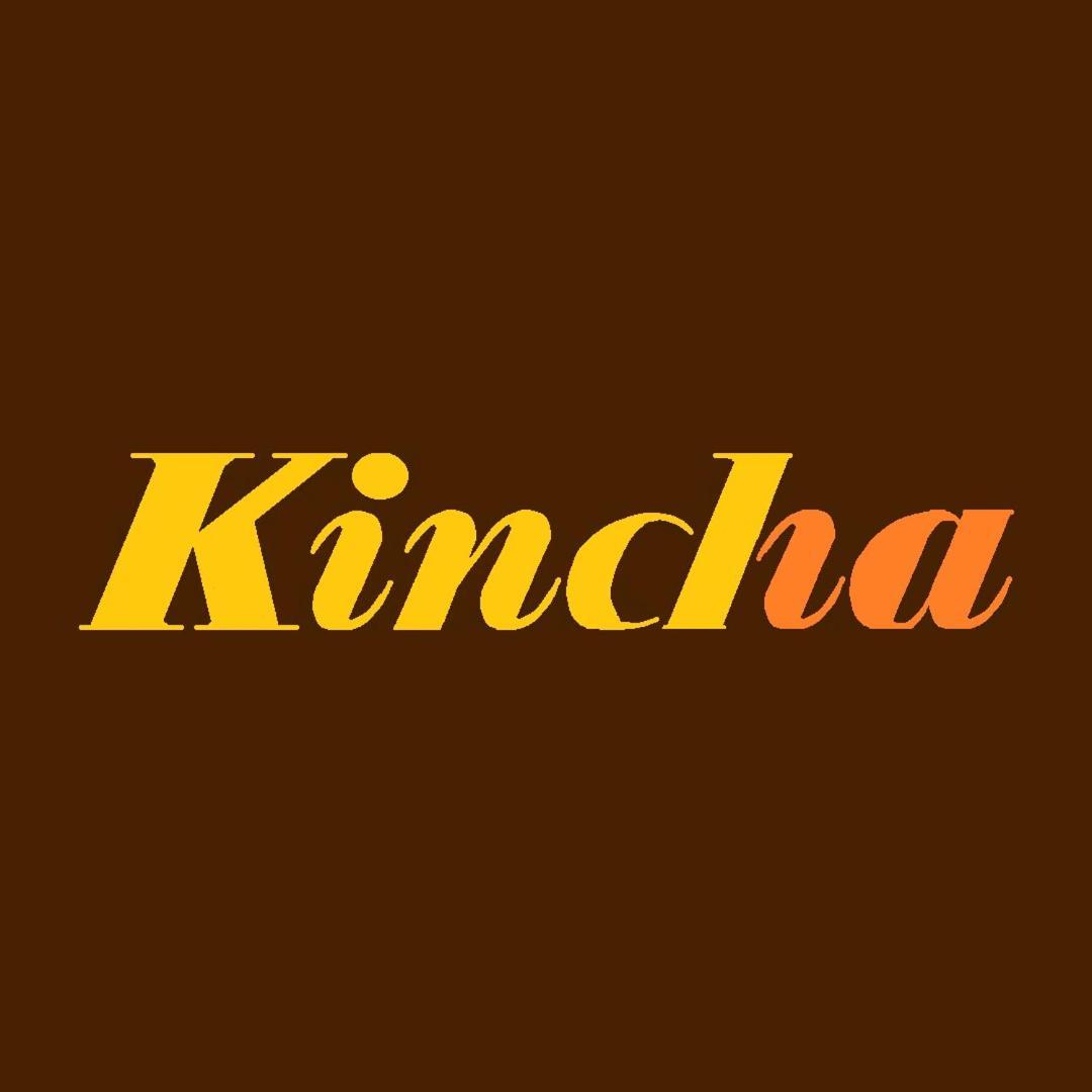 Guesthouse Kincha 駅東口 宇都宫 外观 照片
